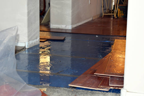 Professional Burst Pipe Cleanup technician working in Kensington, CT